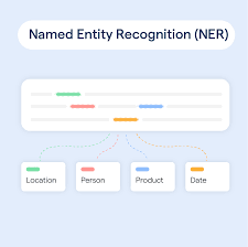 ONNX Model Conversion for Named Entity Recognition